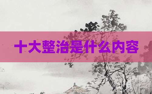 十大整治是什么内容