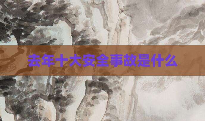 去年十大安全事故是什么
