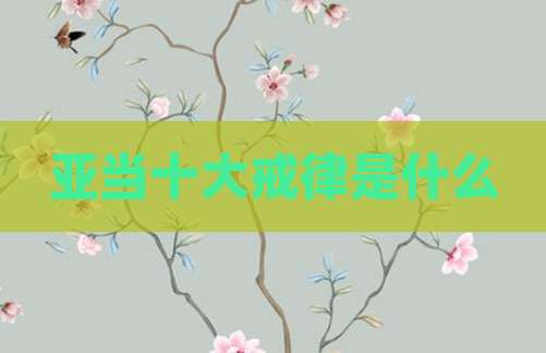 亚当十大戒律是什么
