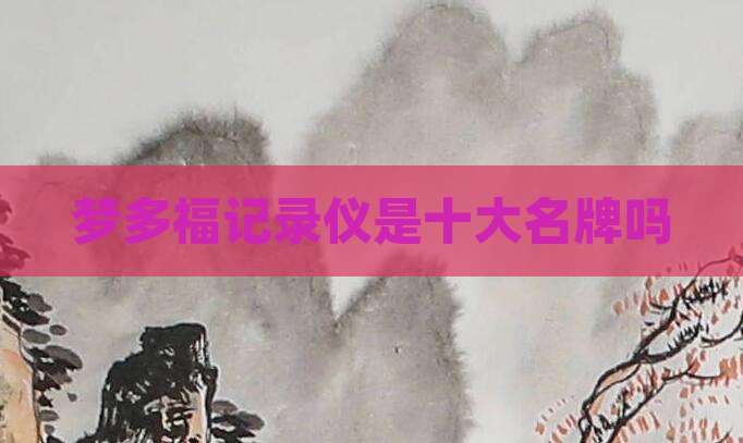 梦多福记录仪是十大名牌吗