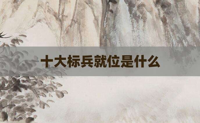十大标兵就位是什么