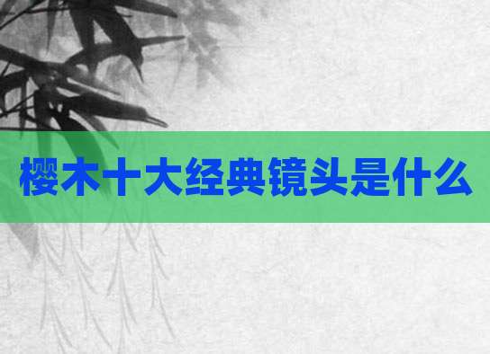 樱木十大经典镜头是什么