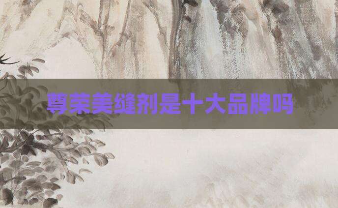 尊荣美缝剂是十大品牌吗
