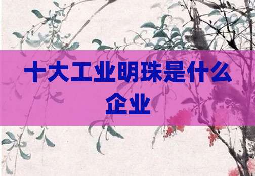 十大工业明珠是什么企业