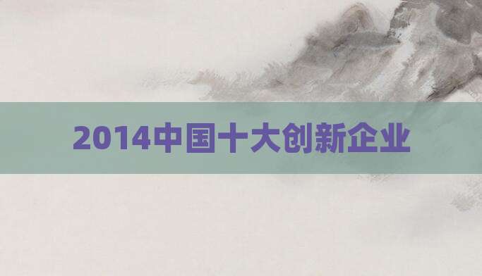 2014中国十大创新企业