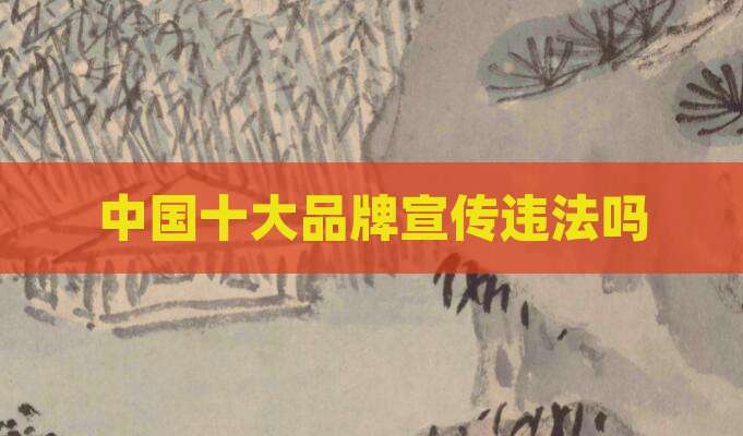 中国十大品牌宣传违法吗