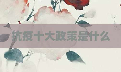 抗疫十大政策是什么