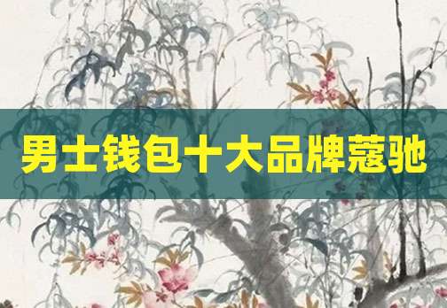 男士钱包十大品牌蔻驰