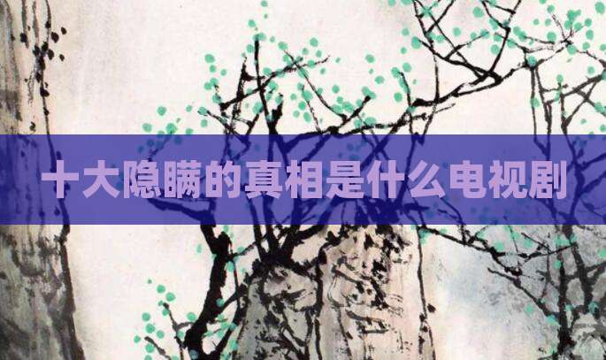 十大隐瞒的真相是什么电视剧
