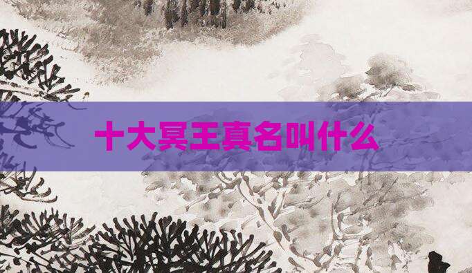 十大冥王真名叫什么