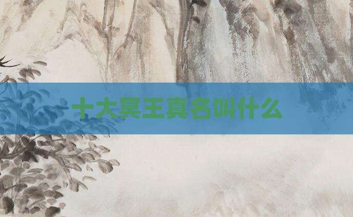 十大冥王真名叫什么