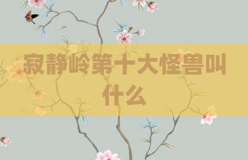 寂静岭第十大怪兽叫什么