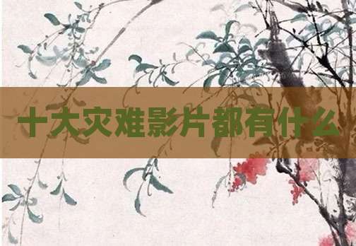 十大灾难影片都有什么