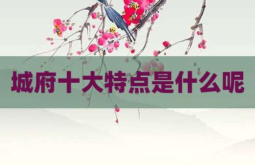 城府十大特点是什么呢