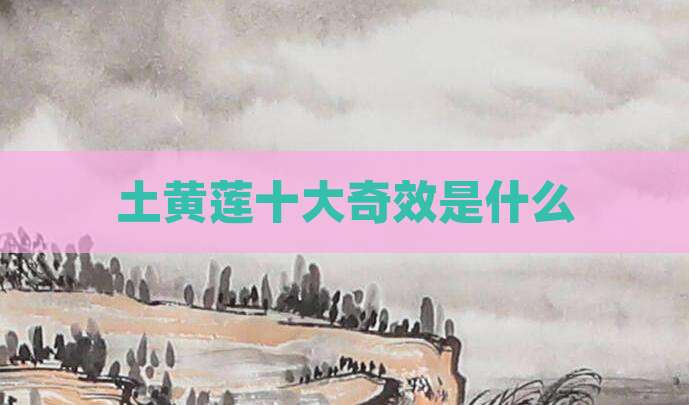 土黄莲十大奇效是什么