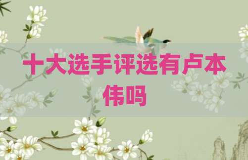 十大选手评选有卢本伟吗
