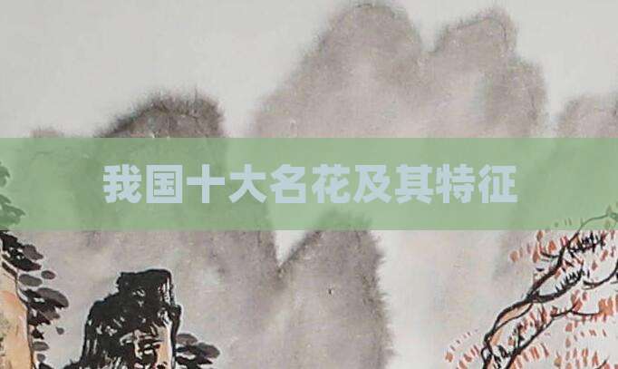 我国十大名花及其特征