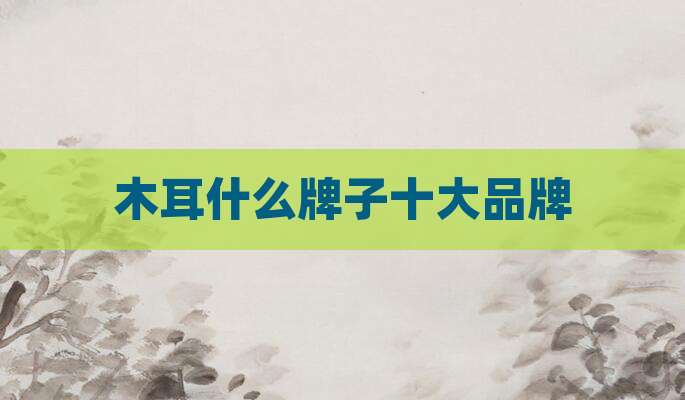 木耳什么牌子十大品牌
