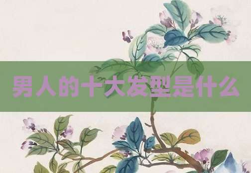 男人的十大发型是什么