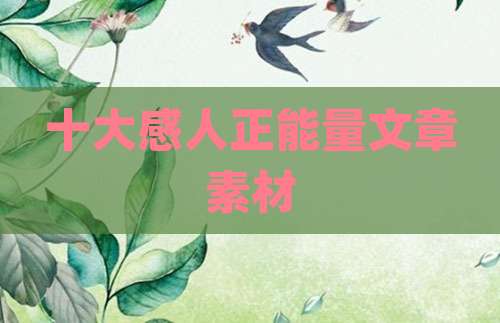 十大感人正能量文章素材