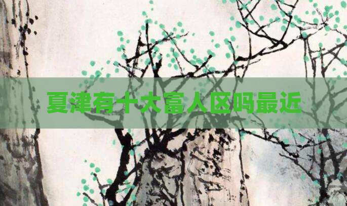 夏津有十大富人区吗最近