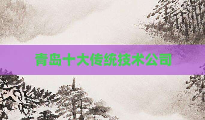 青岛十大传统技术公司