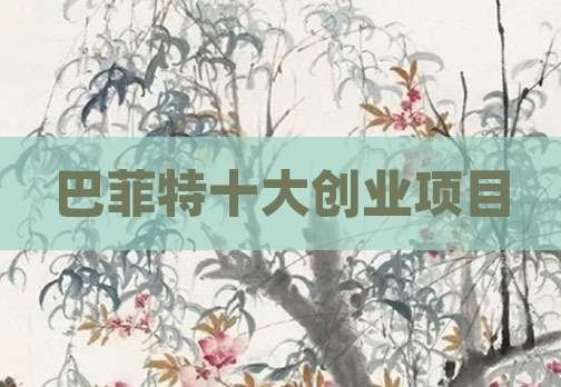 巴菲特十大创业项目