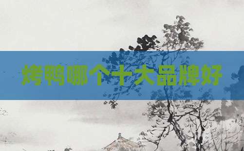 烤鸭哪个十大品牌好