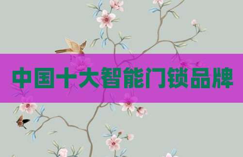 中国十大智能门锁品牌