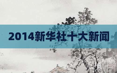 2014新华社十大新闻