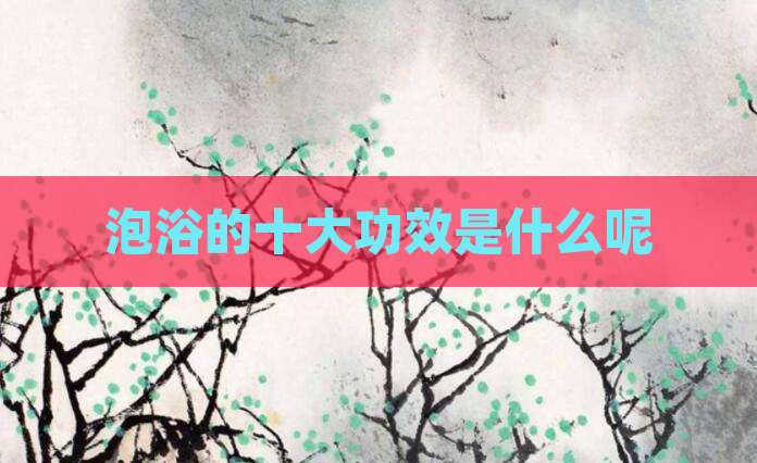 泡浴的十大功效是什么呢