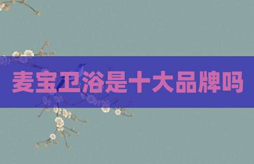 麦宝卫浴是十大品牌吗