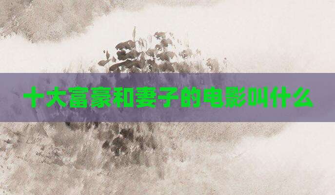 十大富豪和妻子的电影叫什么
