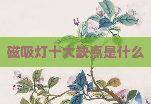 磁吸灯十大缺点是什么