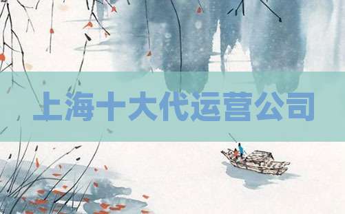 上海十大代运营公司
