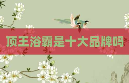 顶王浴霸是十大品牌吗