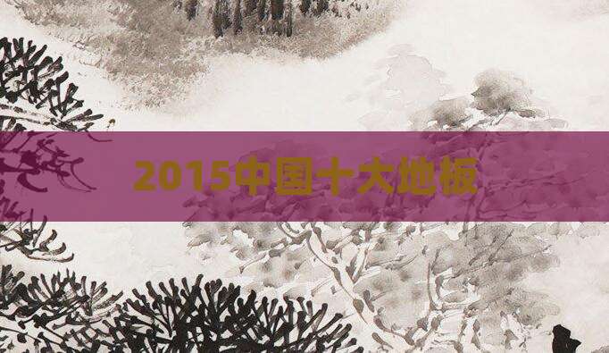 2015中国十大地板