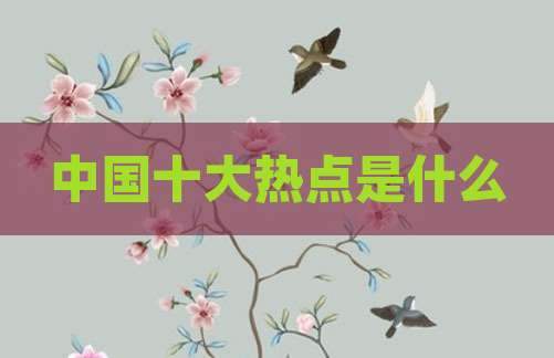 中国十大热点是什么