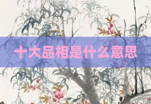 十大品相是什么意思