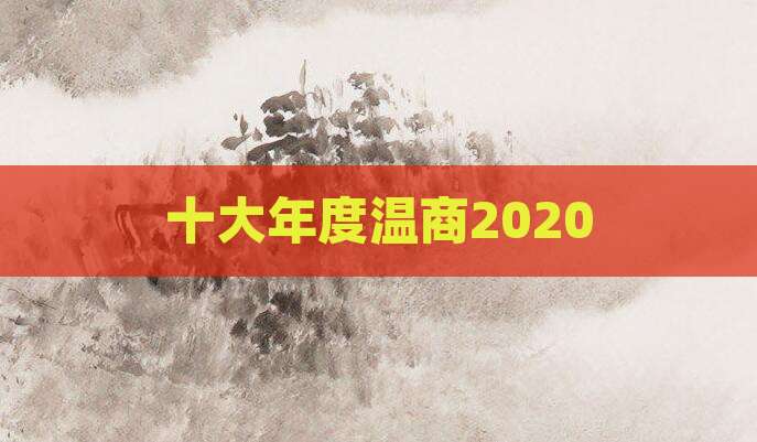 十大年度温商2020