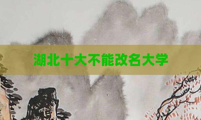 湖北十大不能改名大学