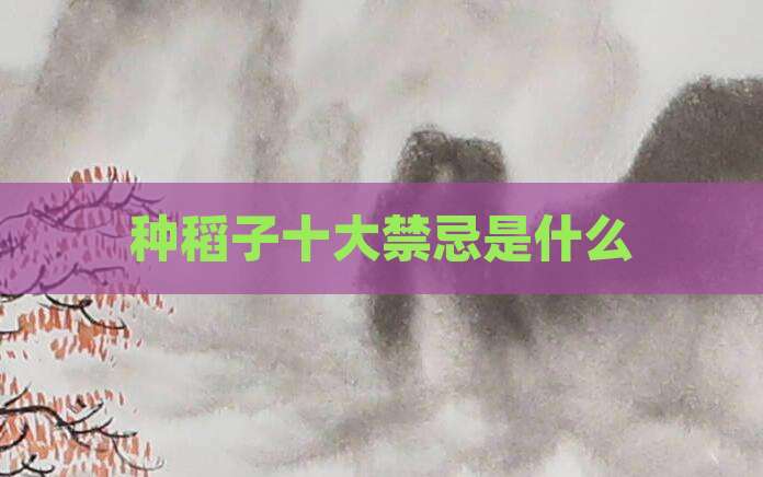 种稻子十大禁忌是什么