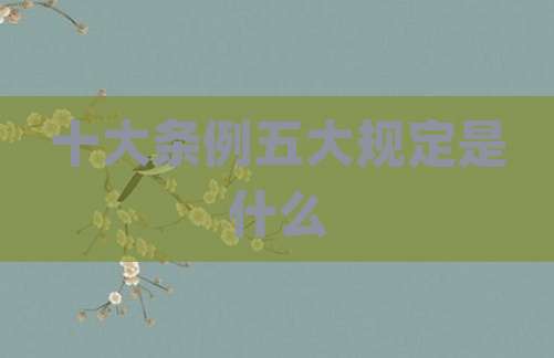 十大条例五大规定是什么