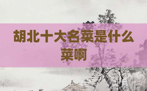 胡北十大名菜是什么菜啊
