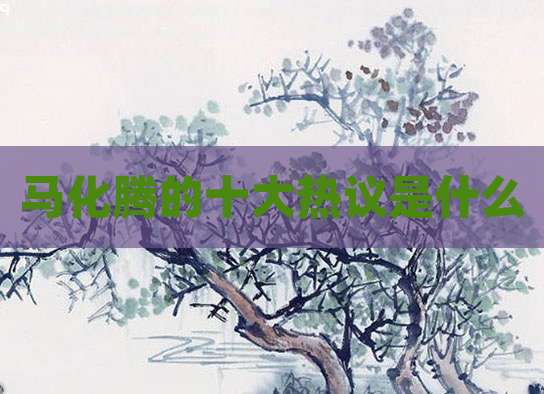 马化腾的十大热议是什么