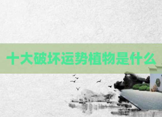 十大破坏运势植物是什么