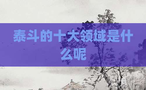 泰斗的十大领域是什么呢
