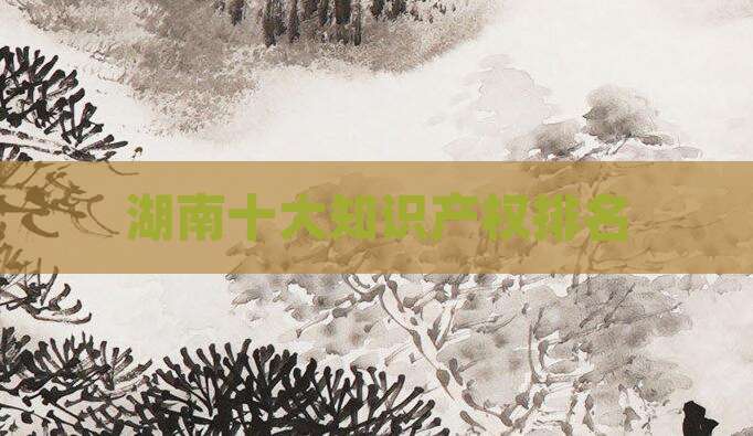 湖南十大知识产权排名