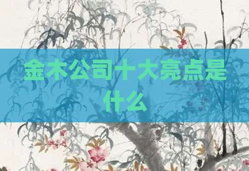 金木公司十大亮点是什么