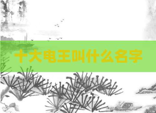 十大电王叫什么名字